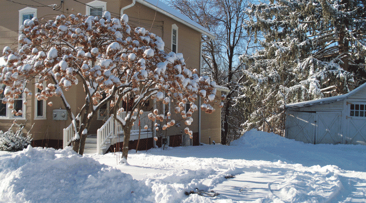House and and property coated with snow.