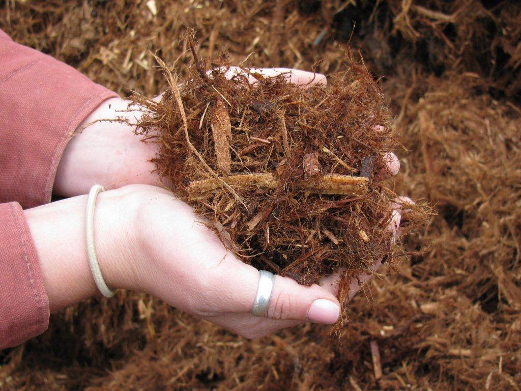 To Mulch Or Not To Mulch Masseo Landscape Inc.