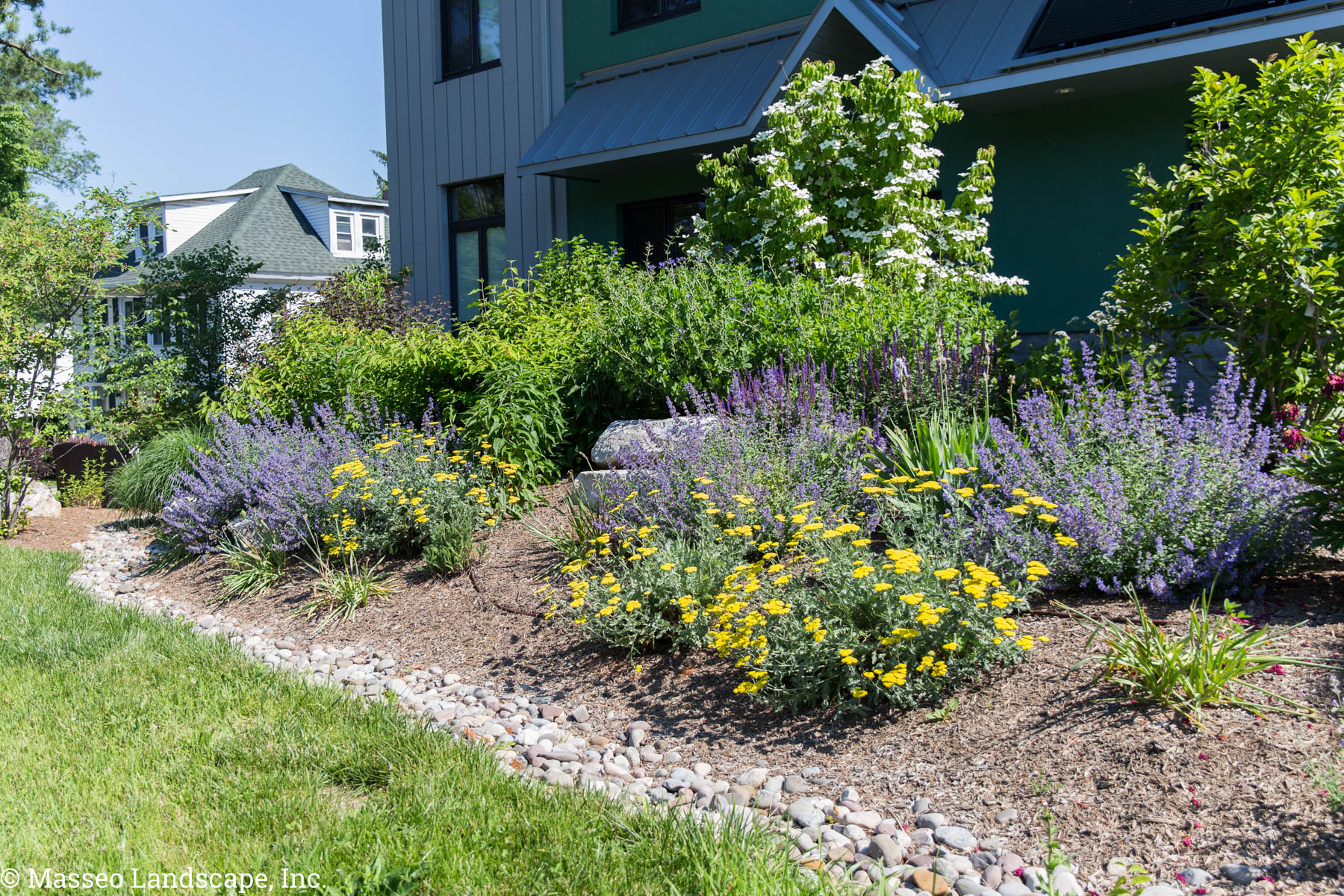 A drought-tolerant entryway planting in New Paltz, NY, designed and installed by Masseo Landscape, Inc.