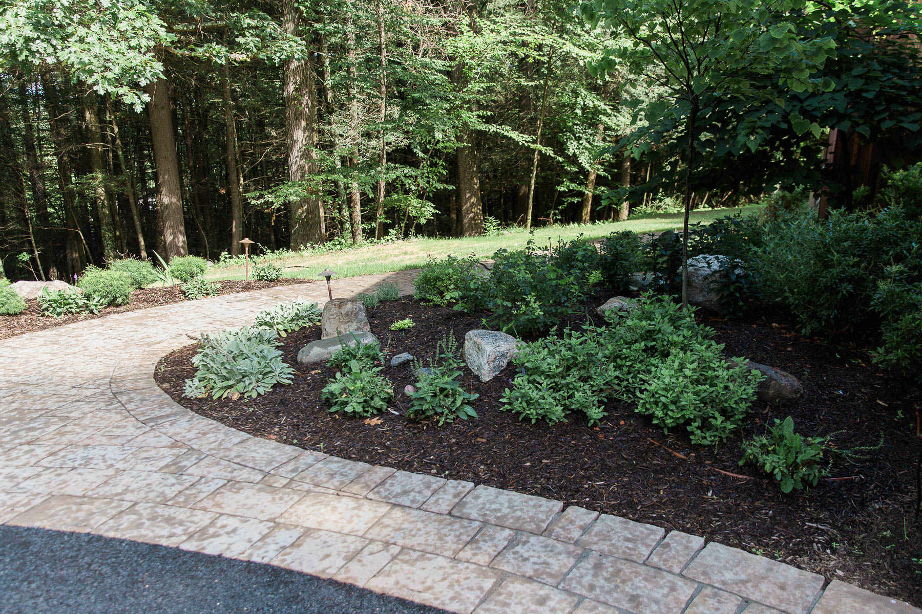 A curving paver front walkway with a planting space featuring native plants and natural stone accents designed by Masseo Landscape, Inc. - Stone Ridge Landscaper