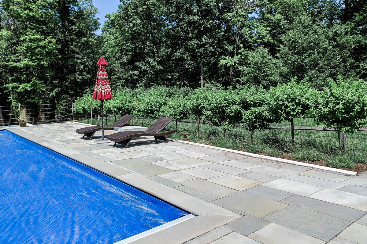 A geometric natural stone patio with a line of lavender plants and hydrangea trees along a pool in New Paltz, NY