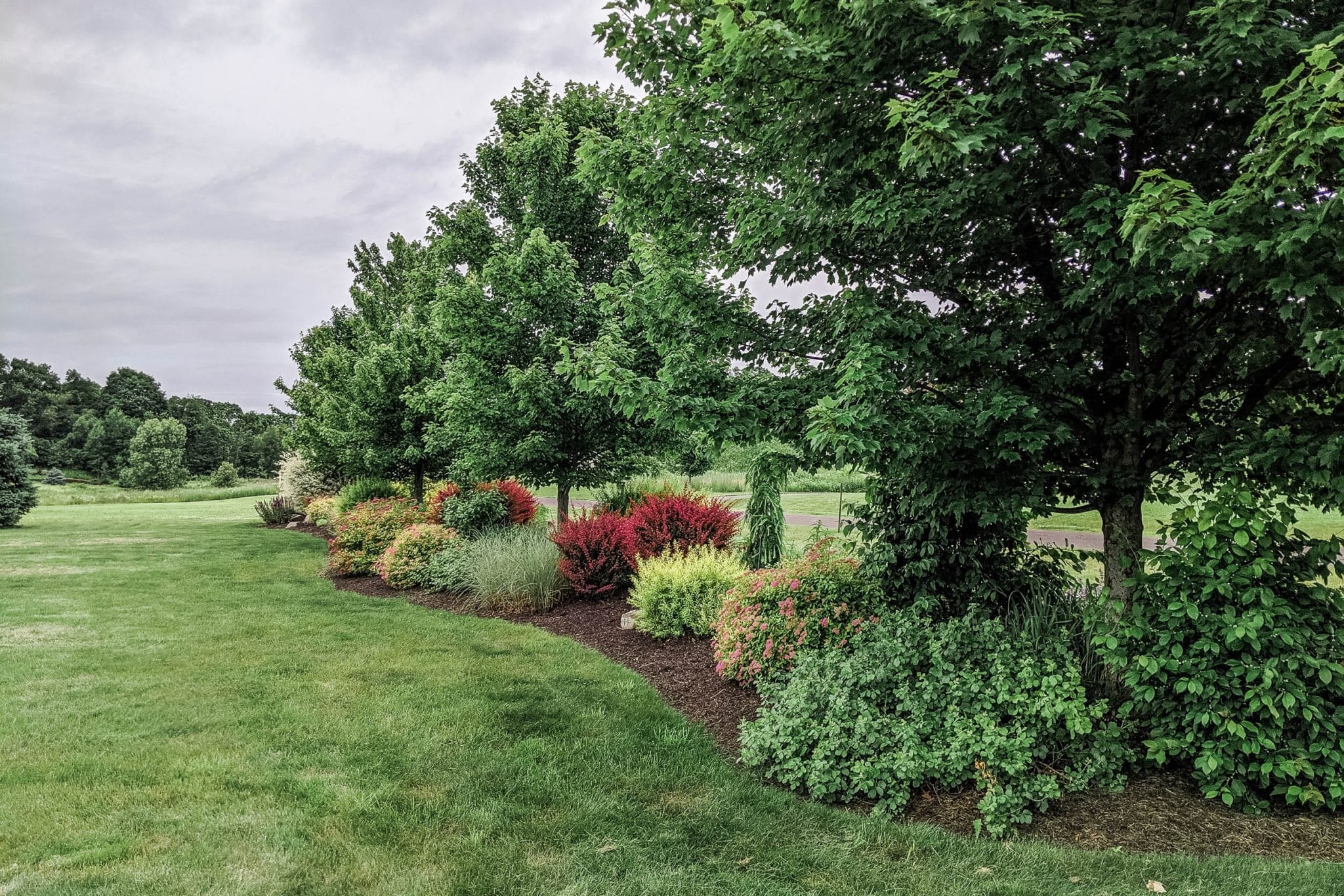 A screening line of native trees, shrubs, perennials, and ornamental grasses blocking the view of the road in Gardiner, NY, designed by Masseo Landscape, Inc. and plants provided by Kalleco Nursery Corp.