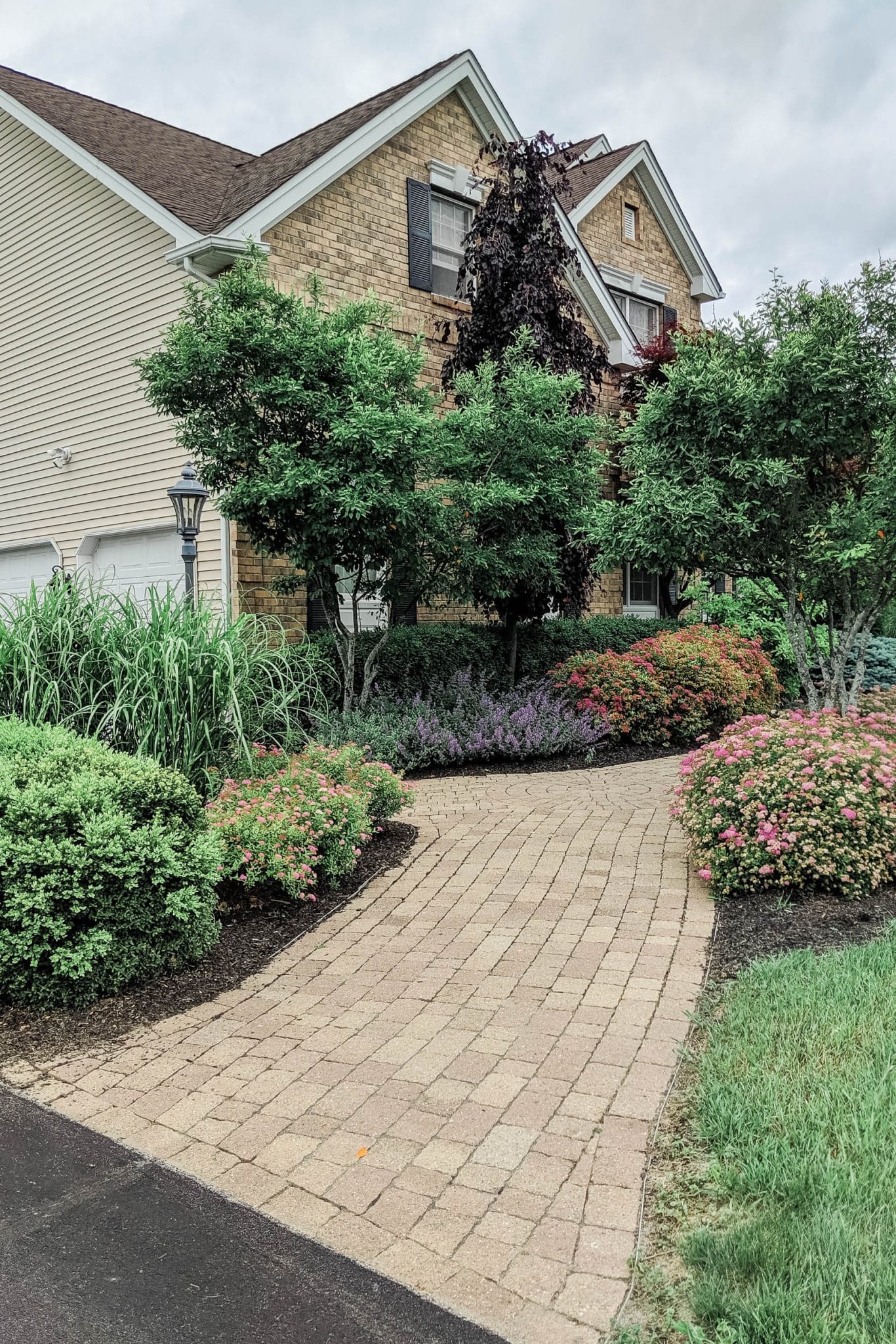 A classic paver walkway with native plantings including spirea, redbud trees, boxwood, and catmint in Gardiner, NY by Masseo Landscape, Inc.