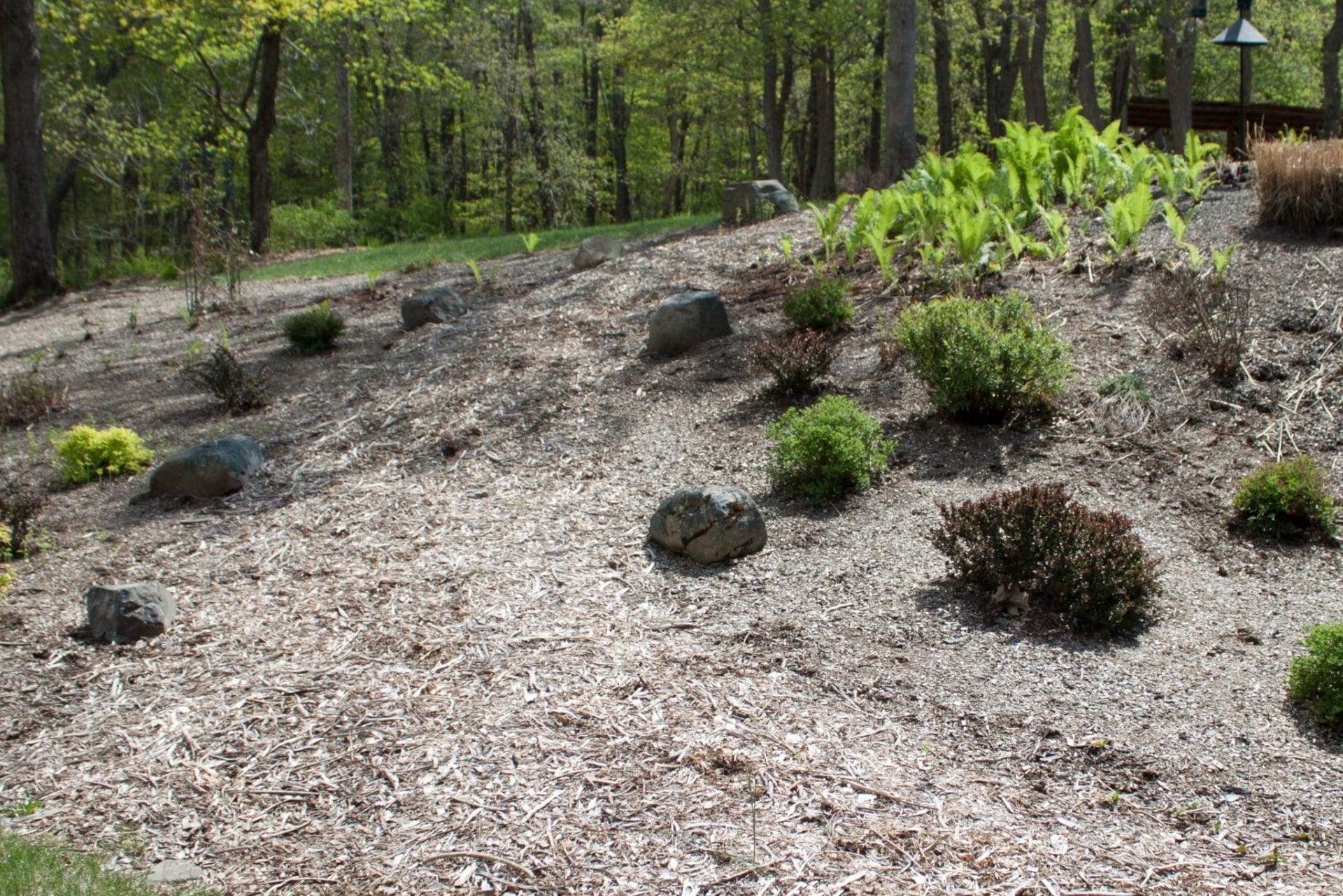 Landscape Designer New Paltz NY 3D Rendering Masseo Landscape