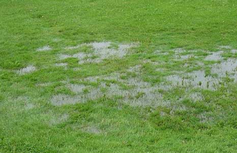 Lawns that look like this for days on end are a sure sign of drainage issues.